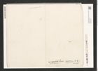 Nitzschia micorcephala Grun. (de-Toni-Nr.: Genus 47, Species 2126) Zeichnungen Sammlung Grunow (NHMW-BOT-W0372239)